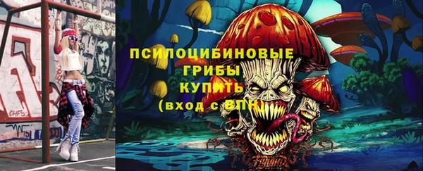 прущие крисы Арсеньев